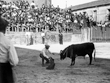 ALCOBENDAS TAURINA
